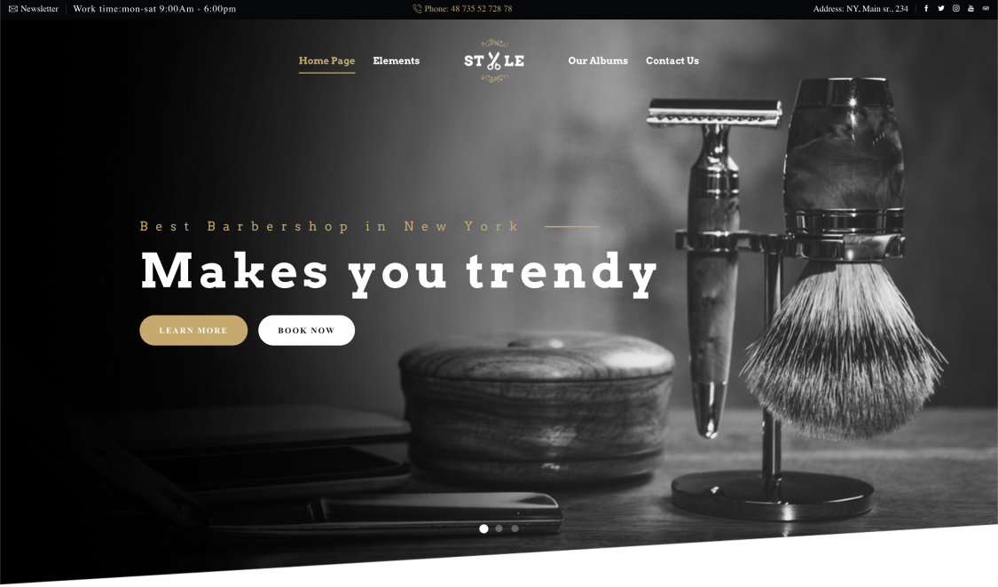 WordPress themes