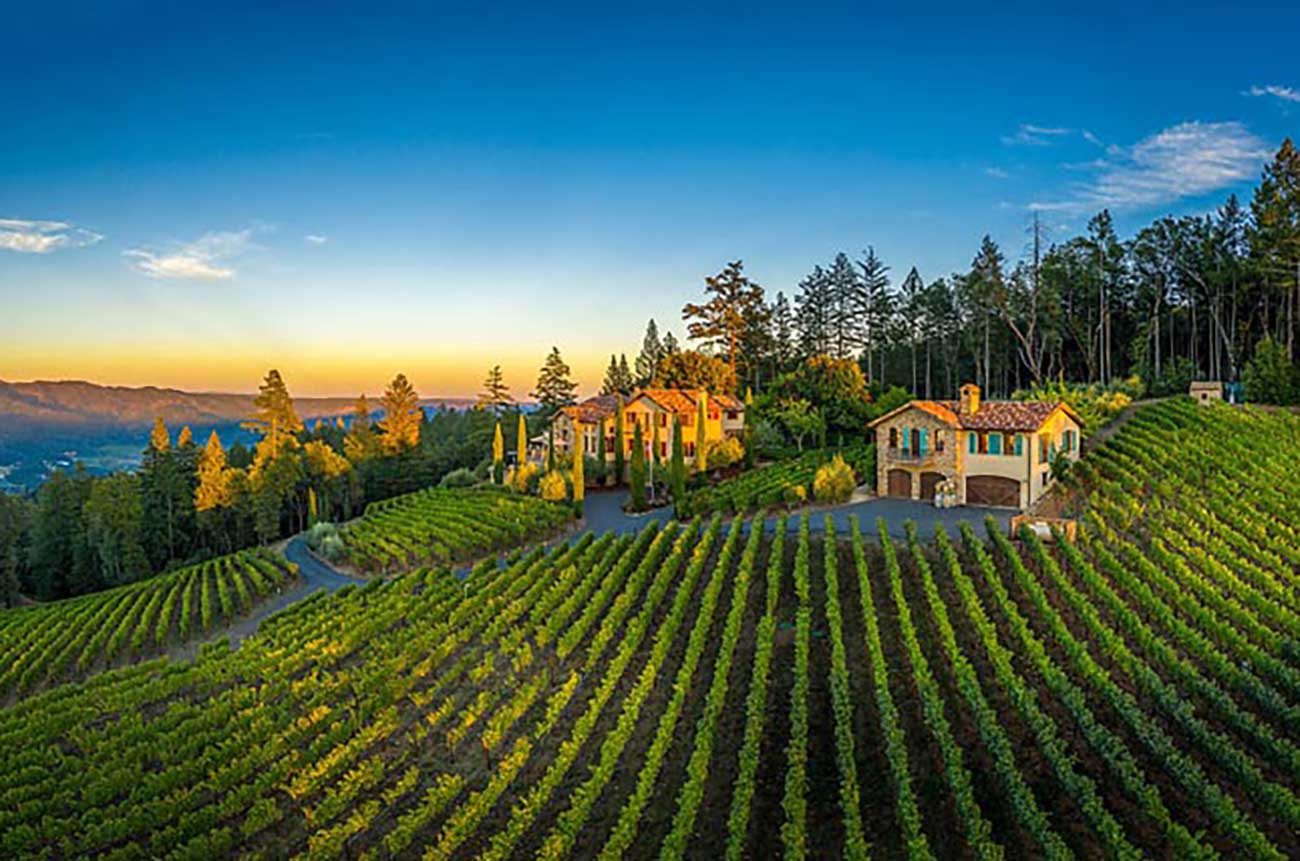 vineyards for sale in Sonoma